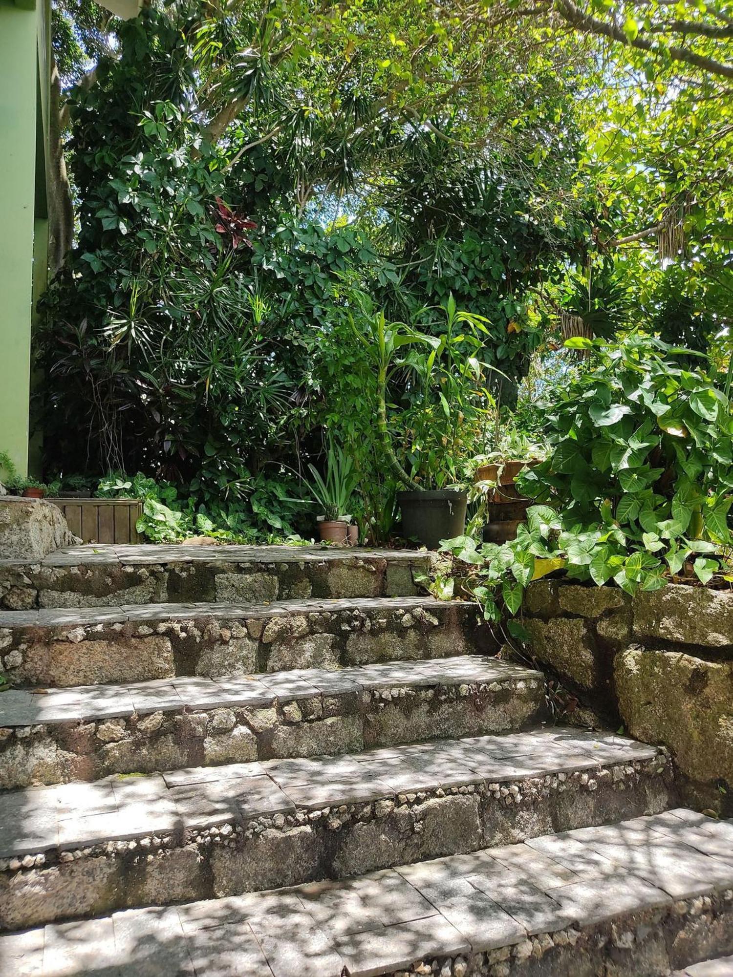 Samauma Floripa Aluguel De Quartos Florianópolis Dış mekan fotoğraf